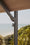 Image to render