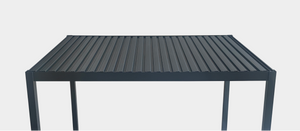 Image to render