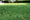 Image to render